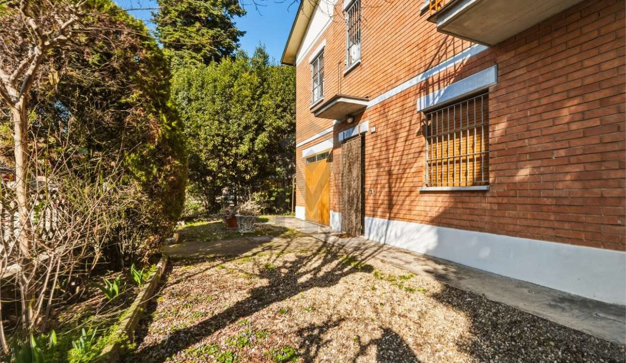 imm_48221-20260225172839-1280-