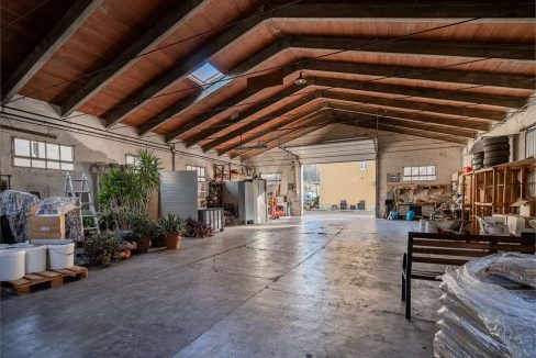 imm_48311-20260227181844-1280-