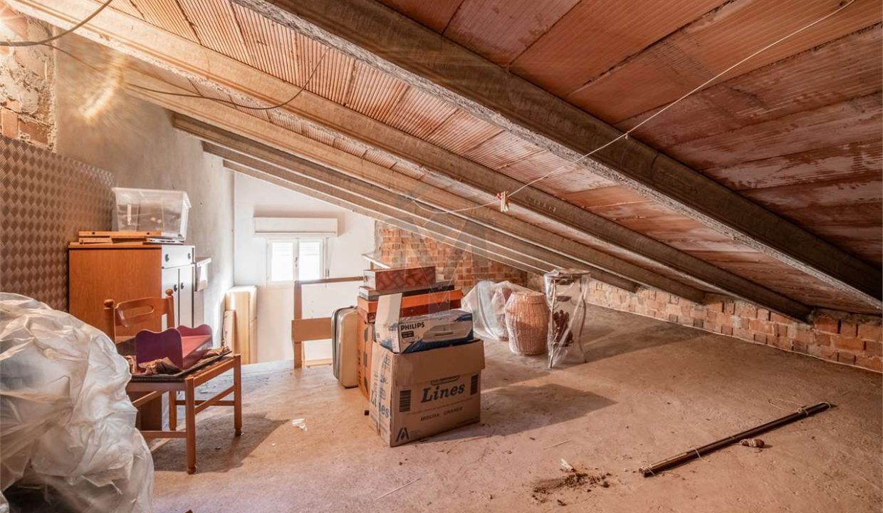 imm_48347-20260227182441-1280-