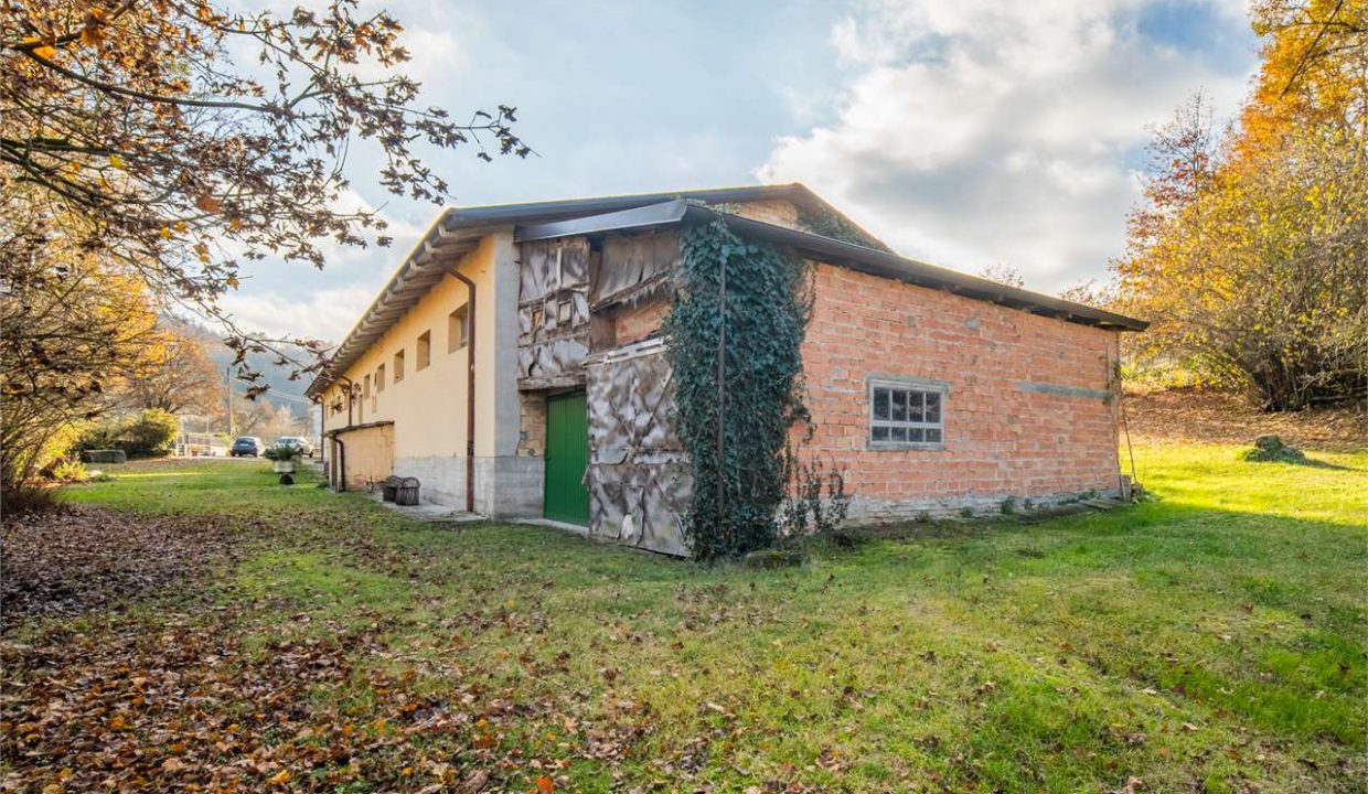 imm_48354-20260227182441-1280-