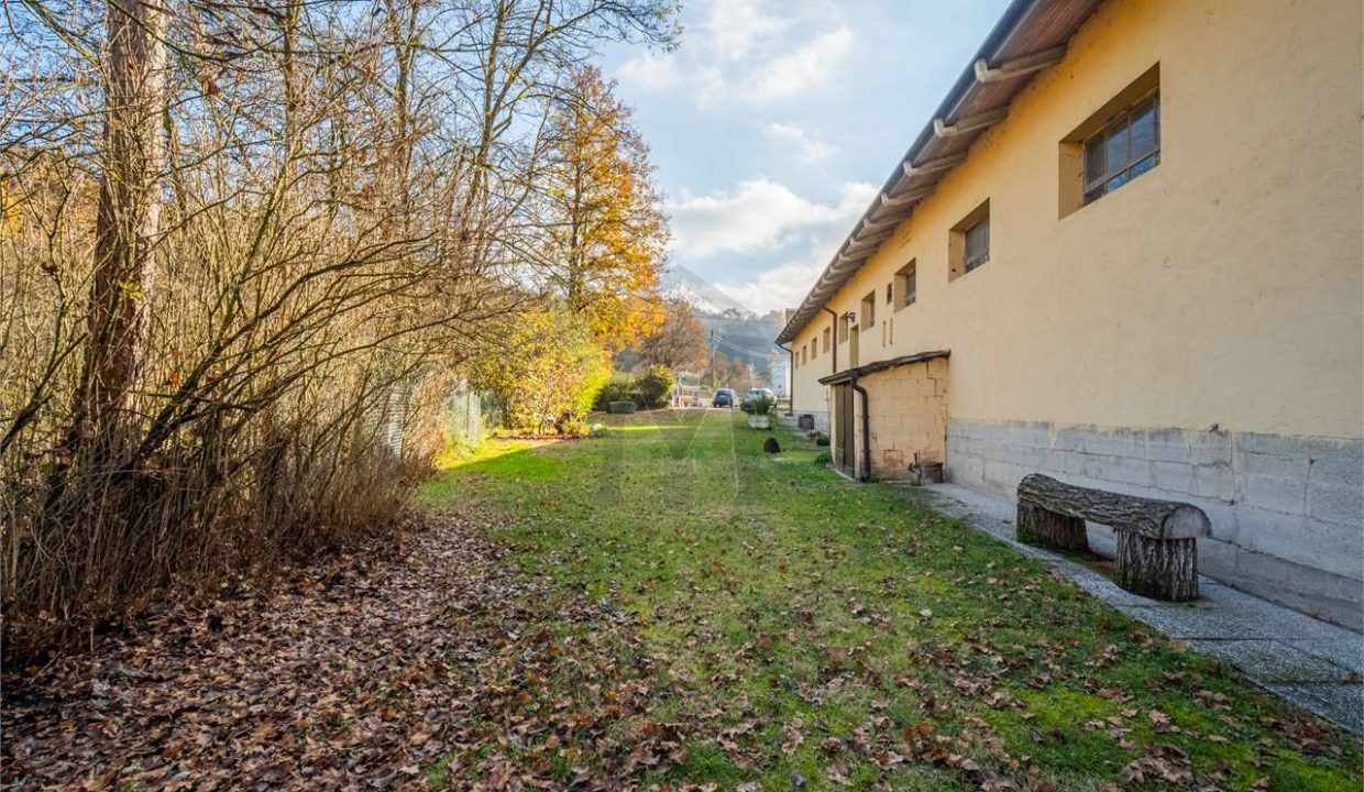 imm_48355-20260227182441-1280-