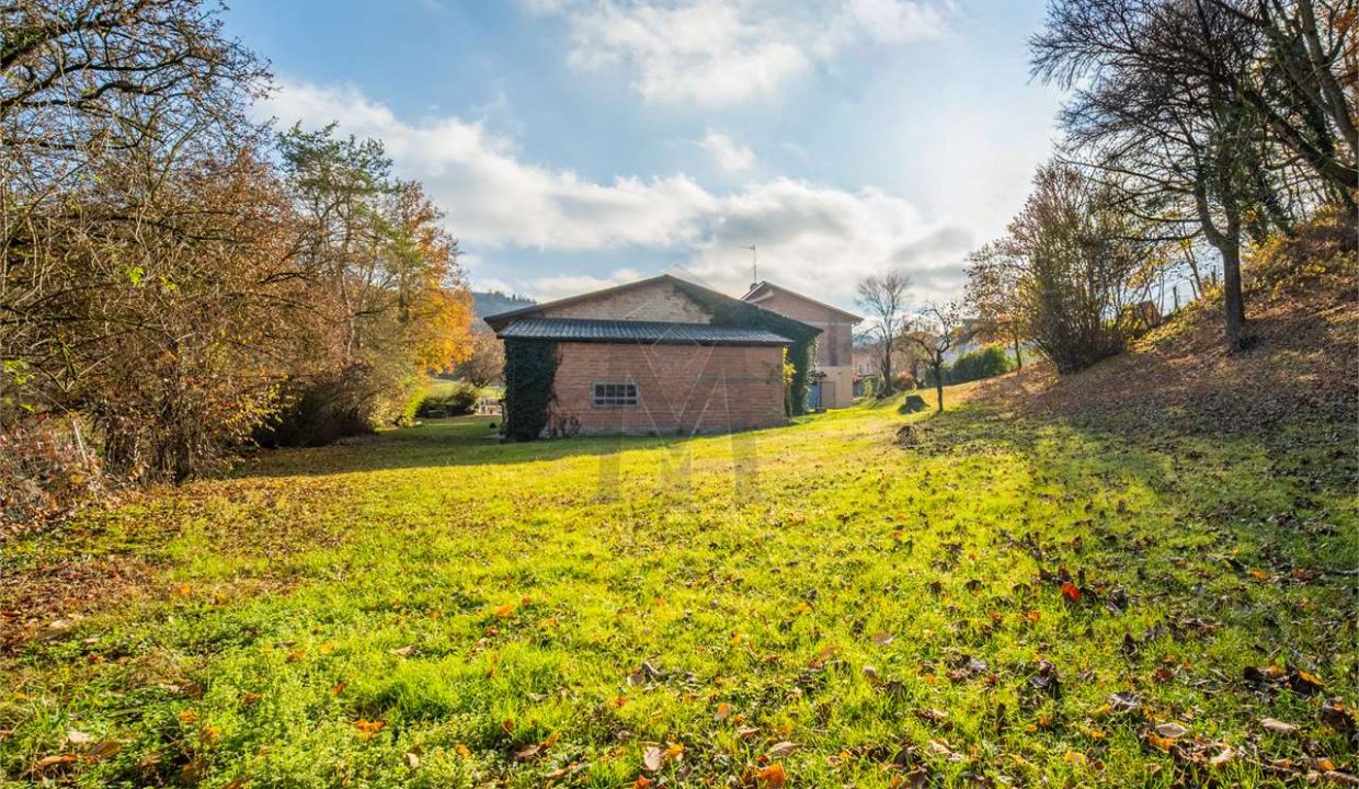 imm_48356-20260227182441-1280-