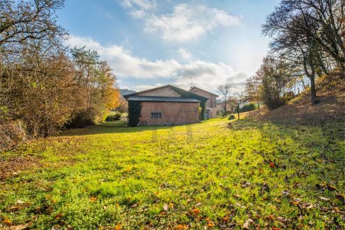 imm_48356-20260227182441-1280-