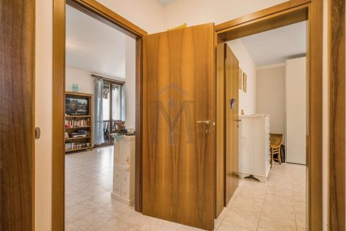 imm_48377-20260309111117-1280-