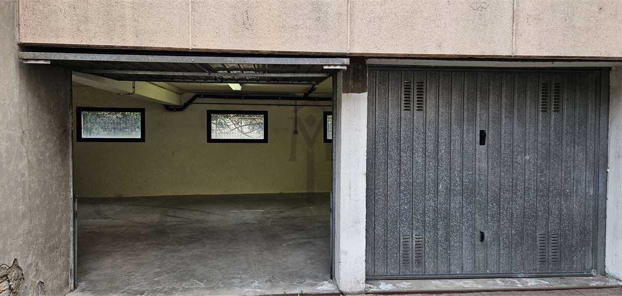 imm_48387-20260309114211-1280-