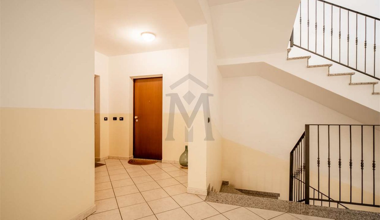 imm_48397-20260309181448-1280-