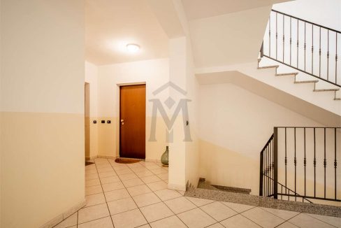 imm_48397-20260309181448-1280-