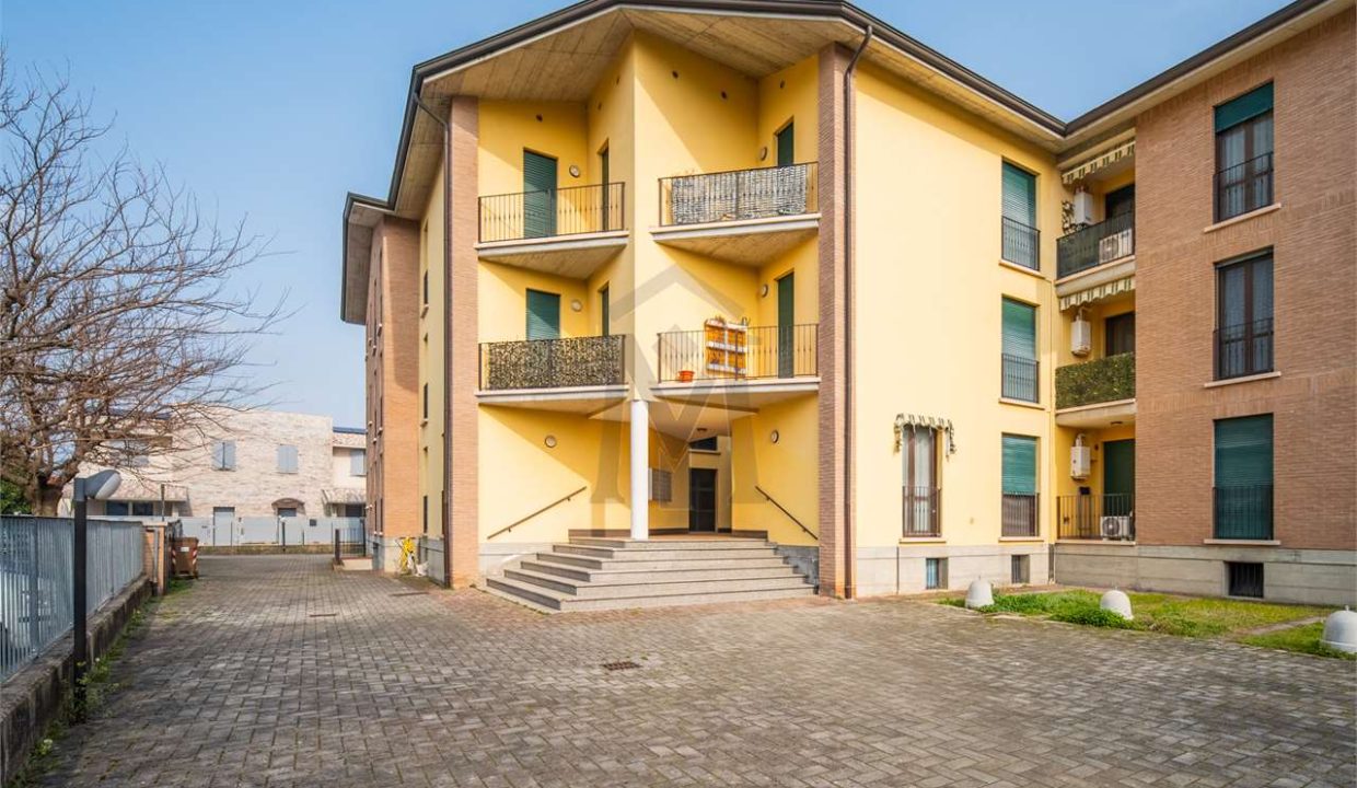 imm_48399-20260309181452-1280-