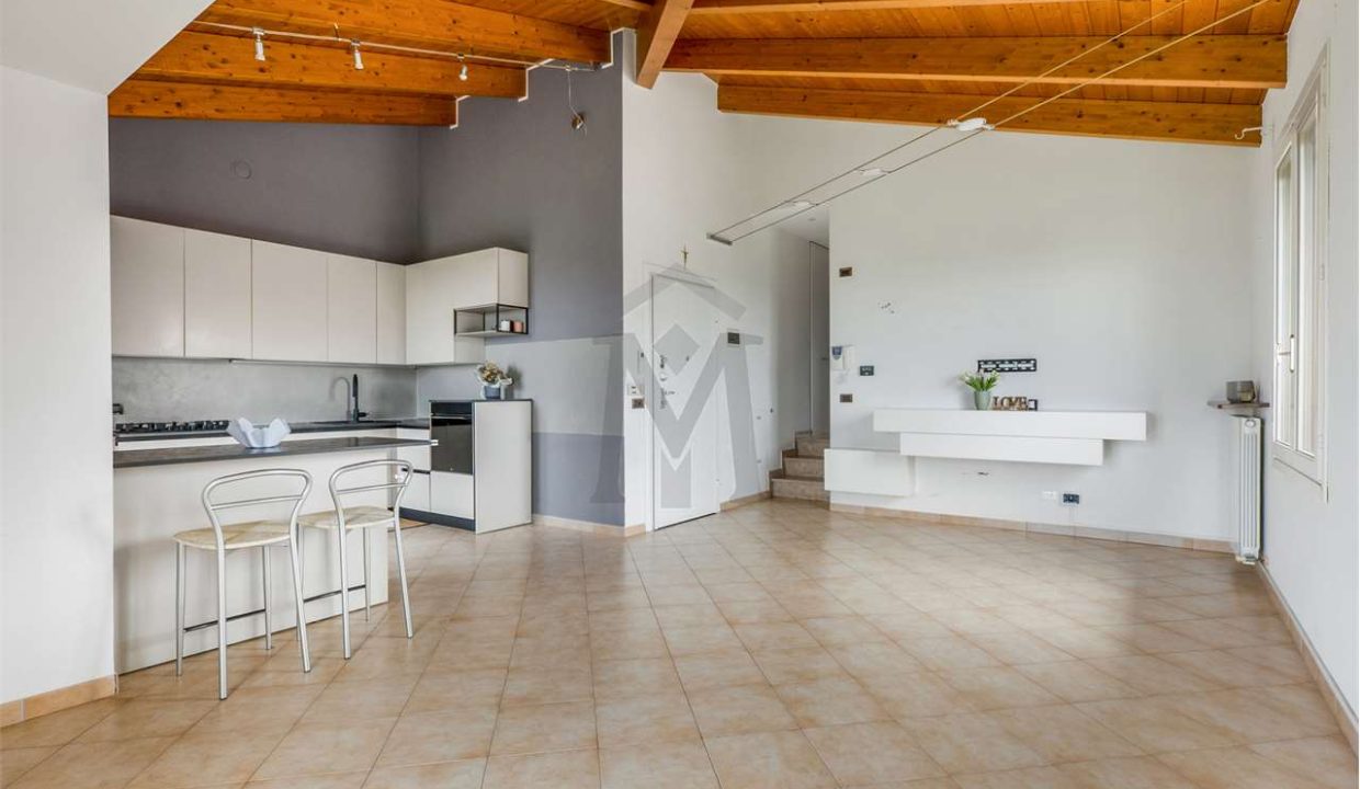 imm_48428-20260310152647-1280-