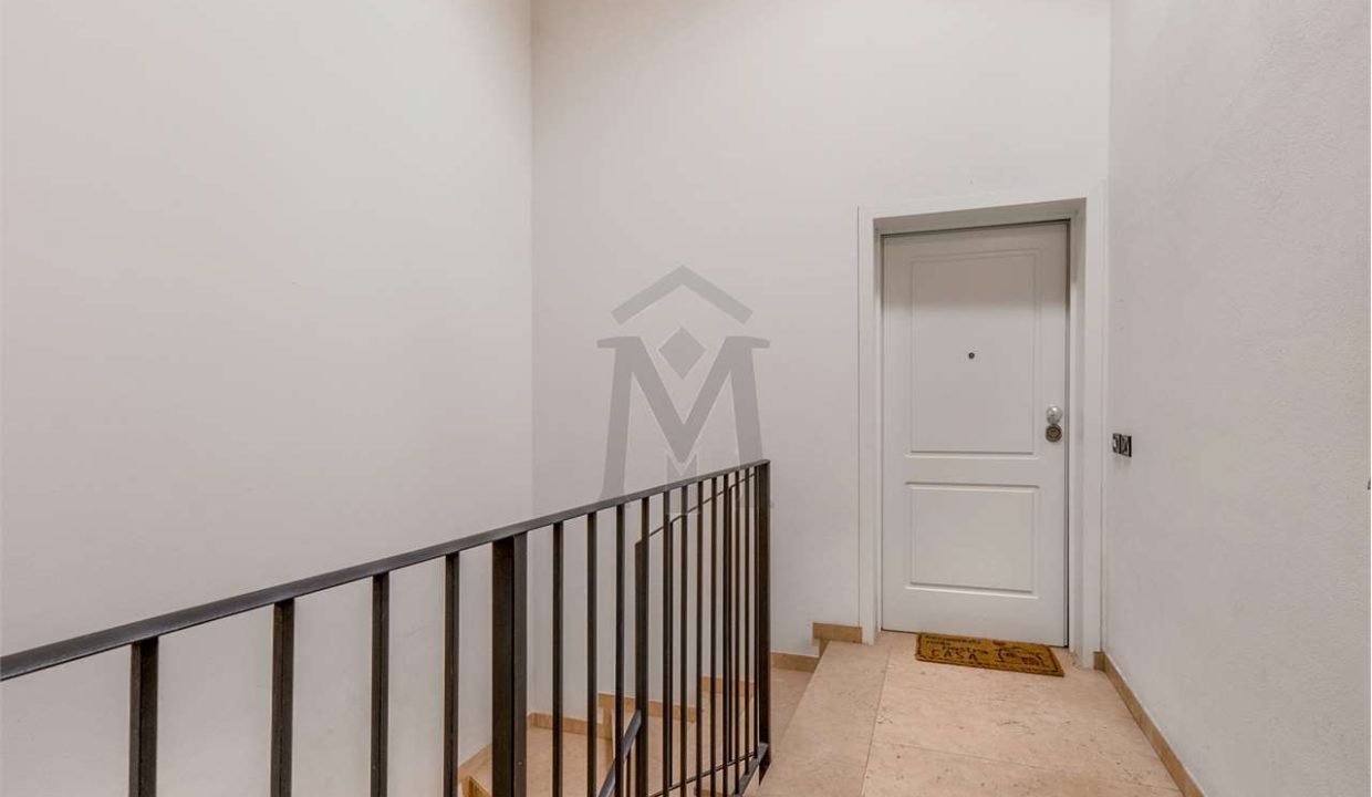 imm_48442-20260310152846-1280-