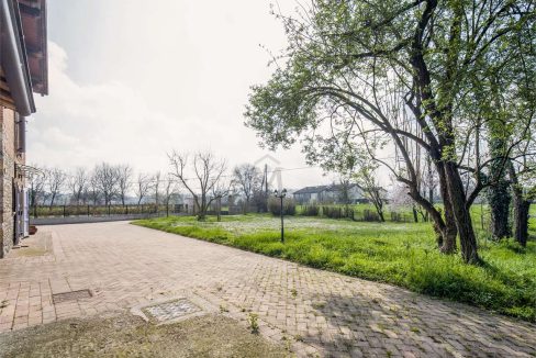 imm_48513-20260316161418-1280-