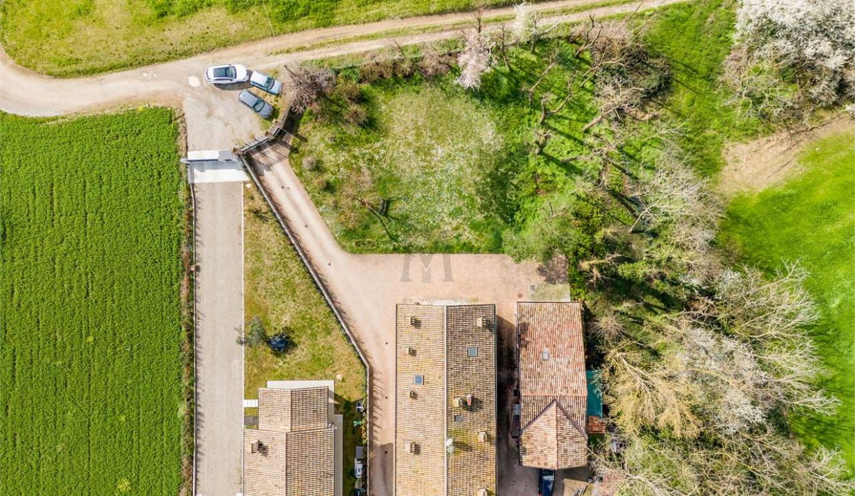 imm_48535-20260316161509-1280-