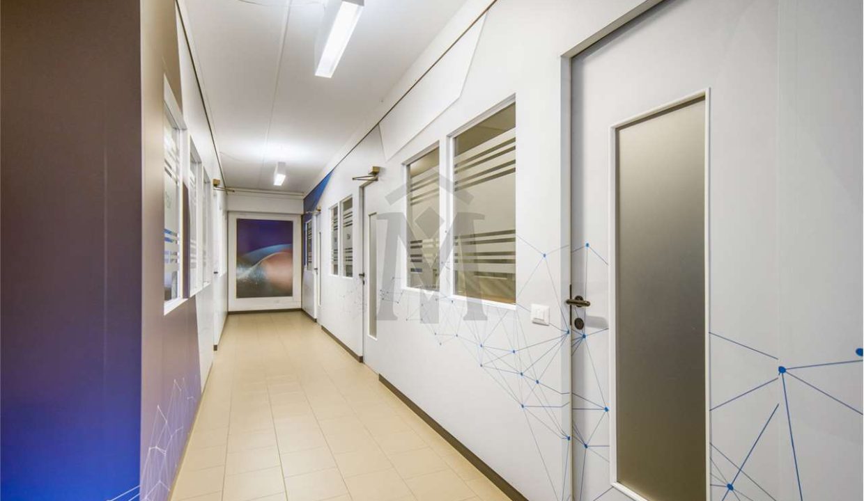 imm_48580-20260316170307-1280-