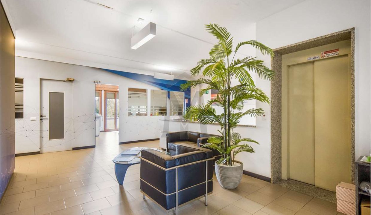 imm_48582-20260316170317-1280-