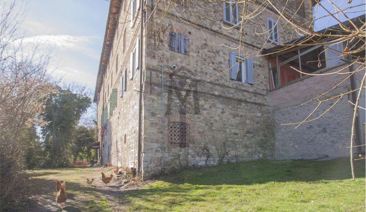 imm_48668-20260320184702-1280-