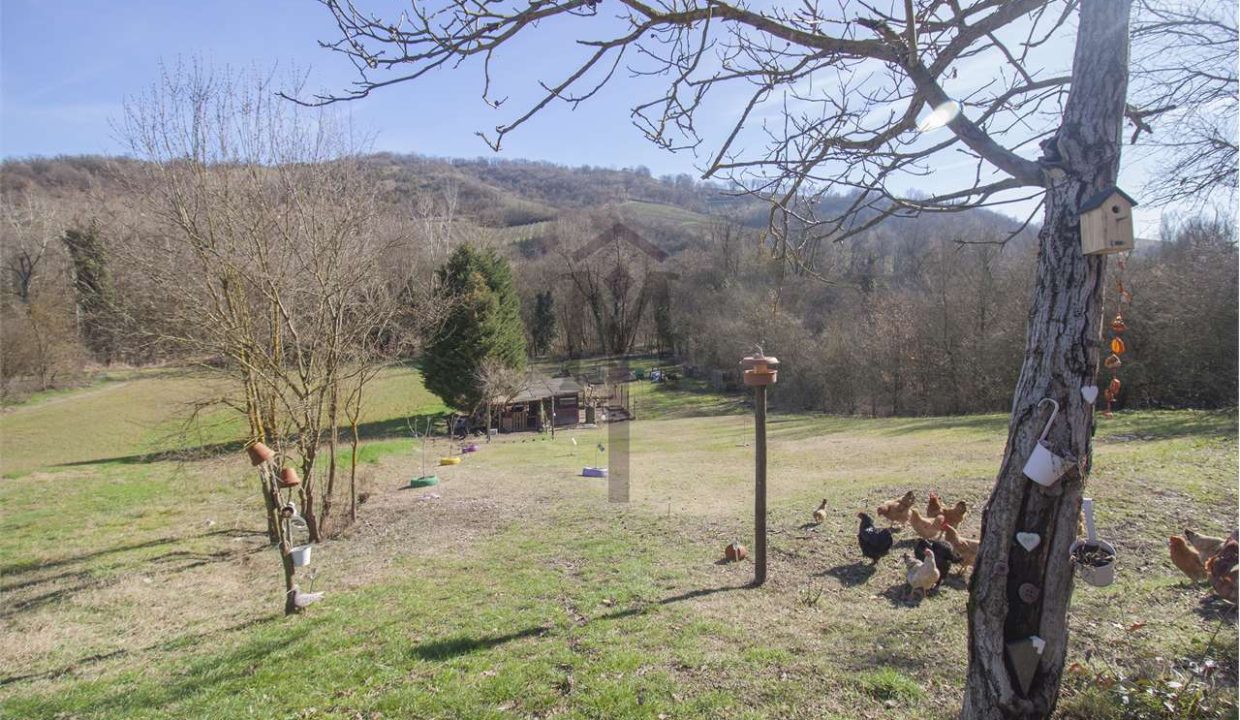 imm_48672-20260320184714-1280-