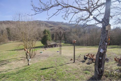 imm_48672-20260320184714-1280-