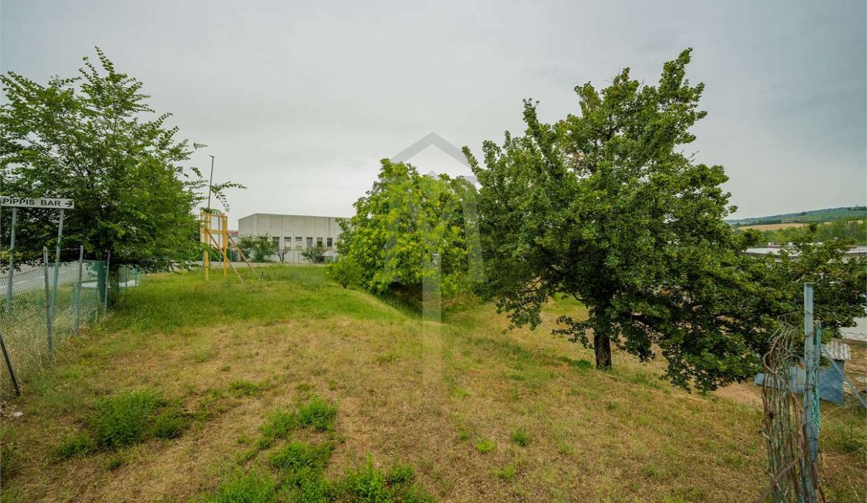 imm_24116-20220627104115-1280-