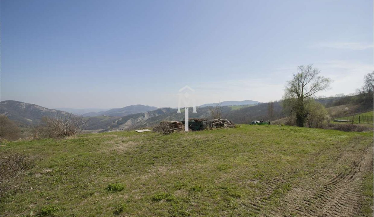 imm_28938-20230407111849-1280-