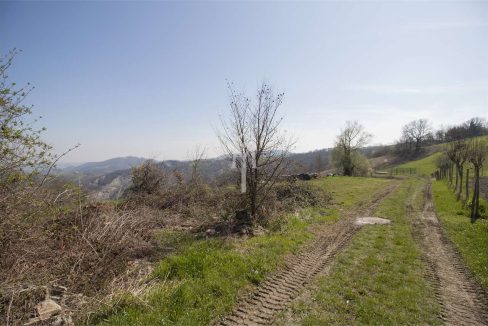 imm_28954-20250709171648-1280-