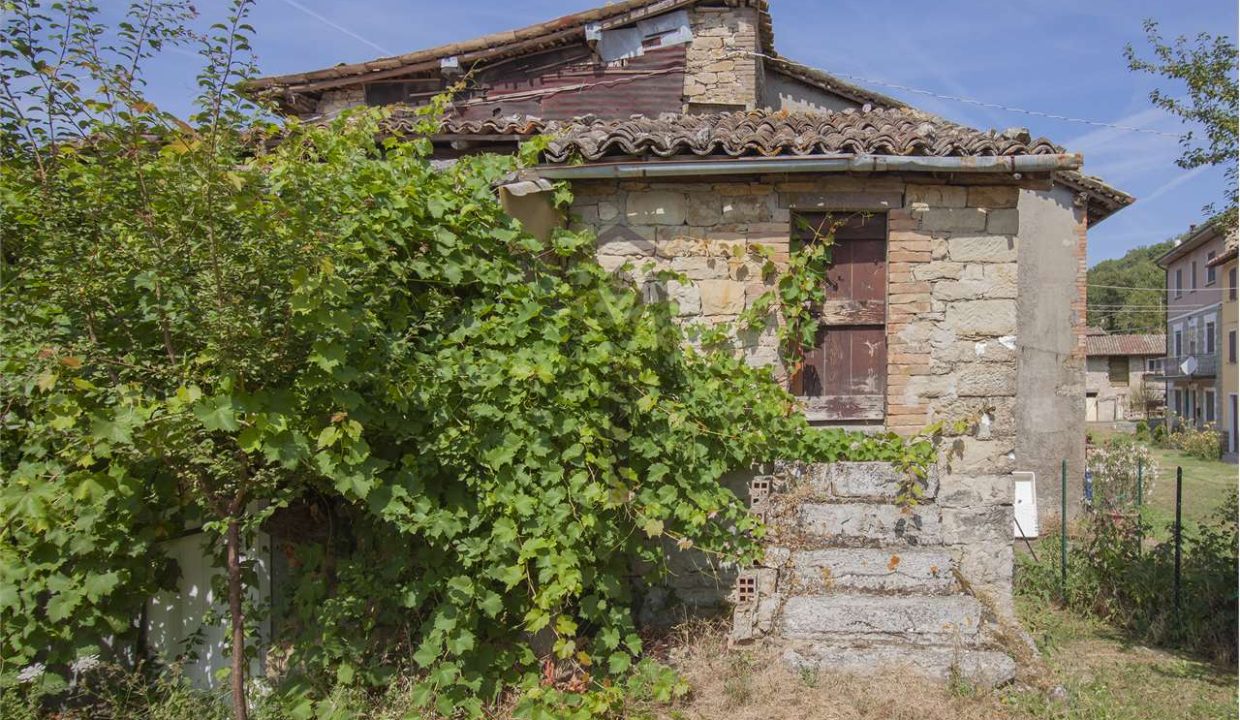 imm_37214-20260119094531-1280-