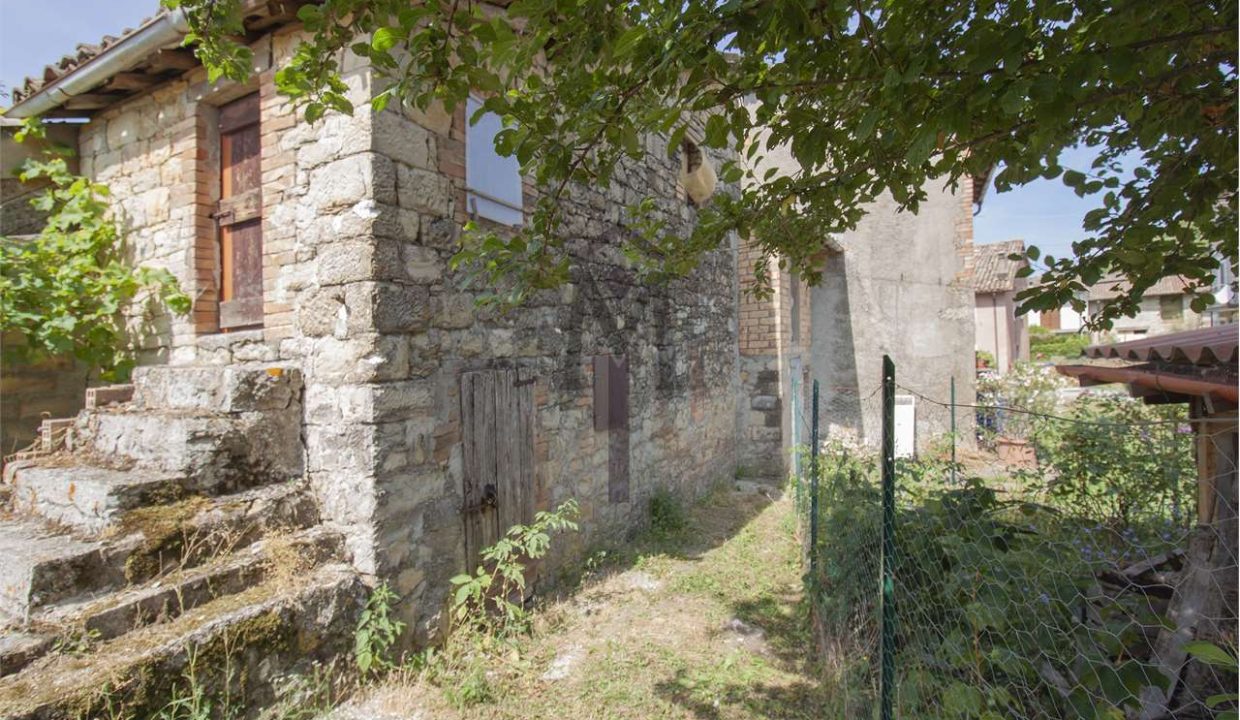 imm_37219-20250304171812-1280-