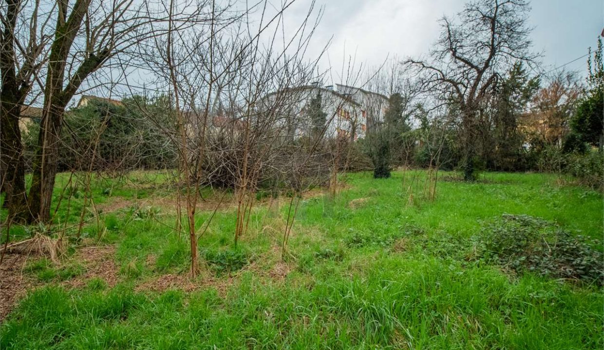 imm_40440-20250304091841-1280-