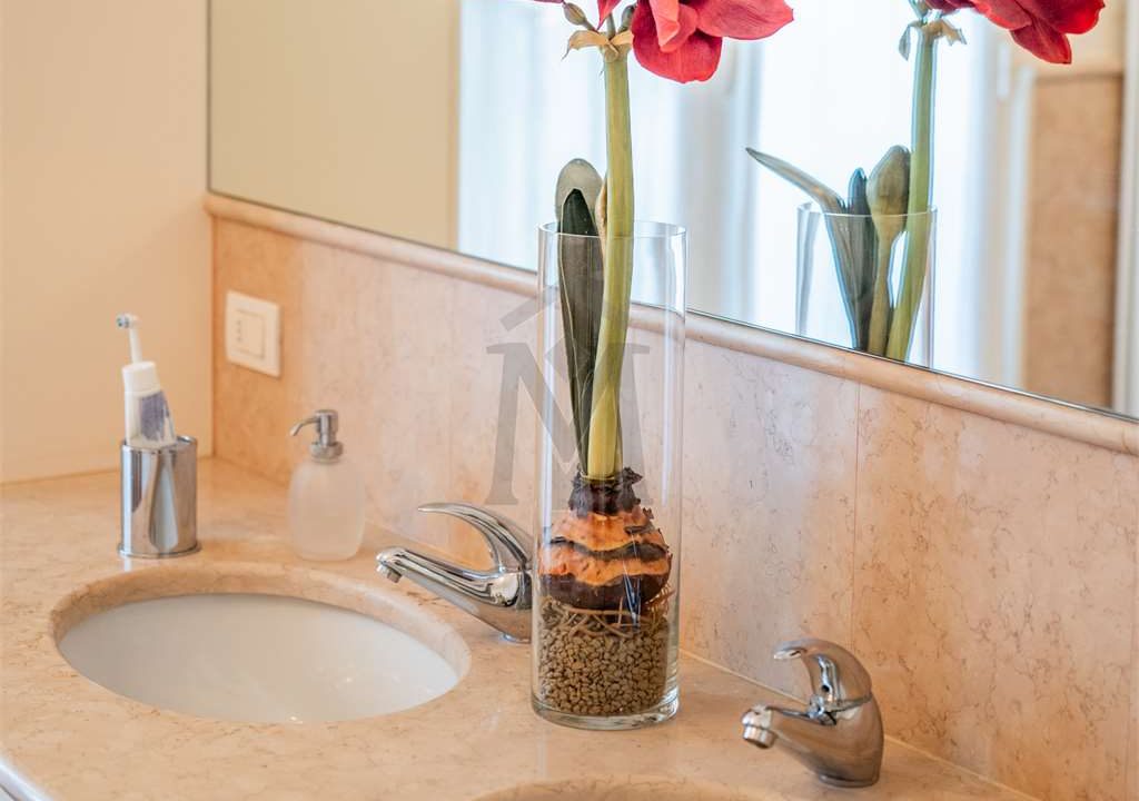 imm_40813-20250313162146-1280