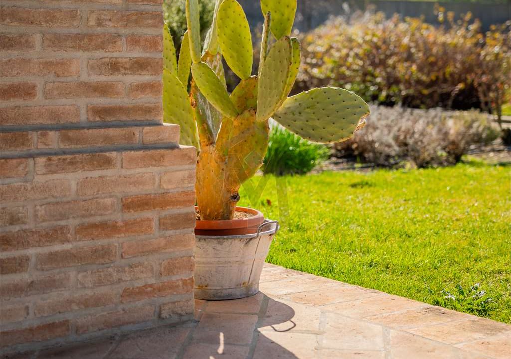 imm_40817-20250313162808-1280