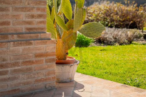 imm_40817-20250313162808-1280