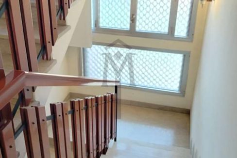 imm_41580-20250416180320-945