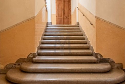 imm_43195-20250605112313-1280