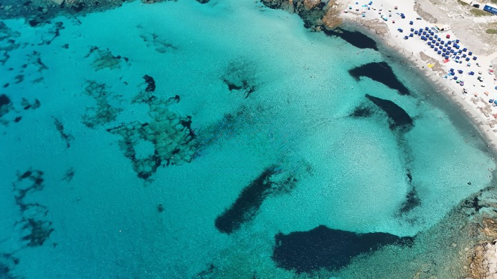 imm_43223-20250523095314-720-