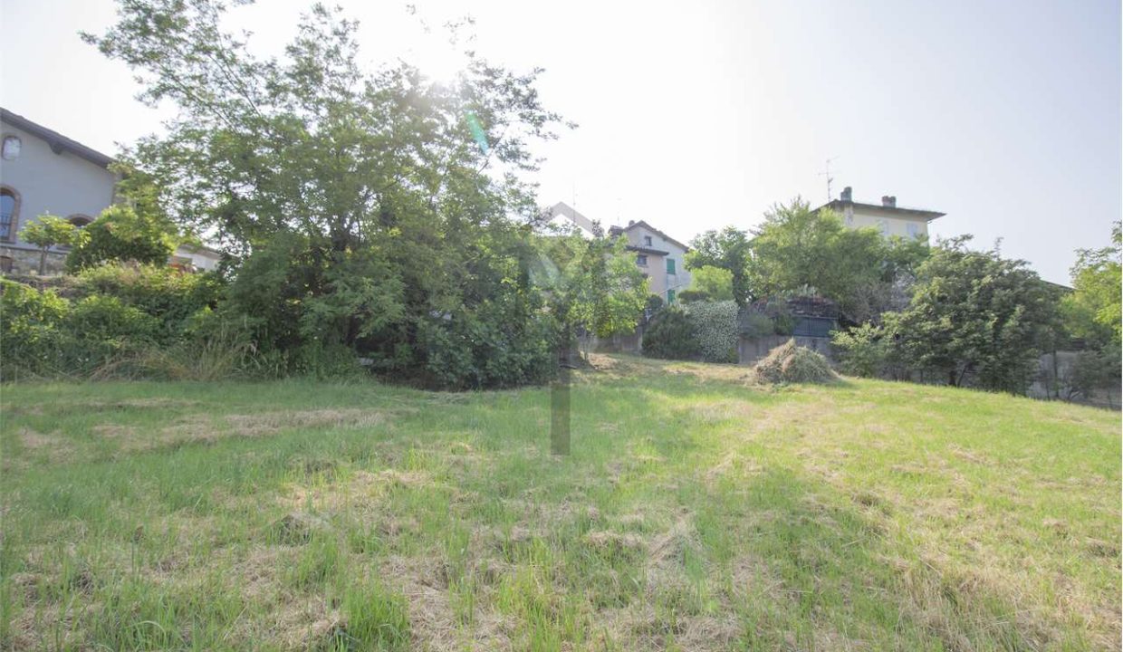 imm_43610-20250623170527-1280-