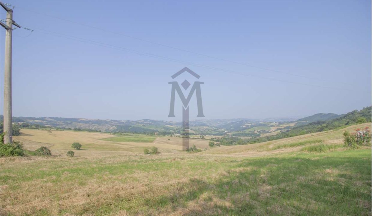 imm_43611-20250623170540-1280-