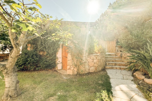 imm_43702-20250703092803-720-