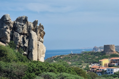 imm_43708-20250703105441-720-