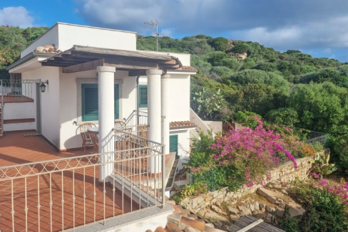 imm_43737-20250703122034-720-