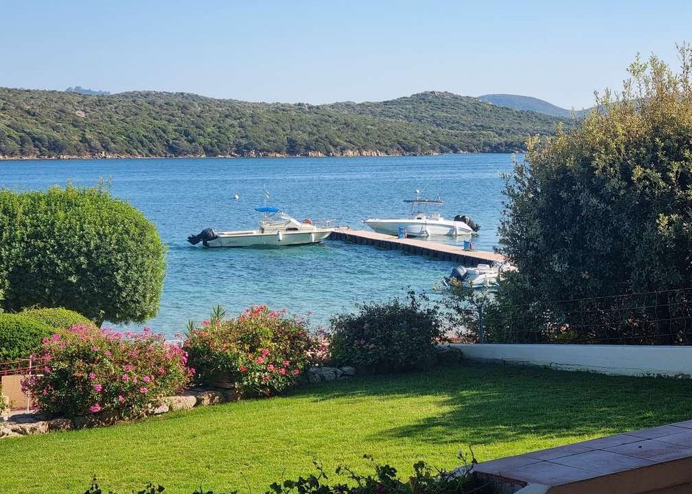 imm_44071-20250723100209-1008-