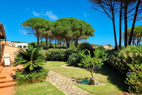 imm_44081-20250723154256-720-