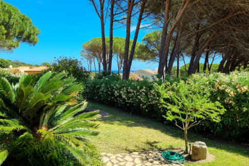 imm_44083-20250723154250-720-