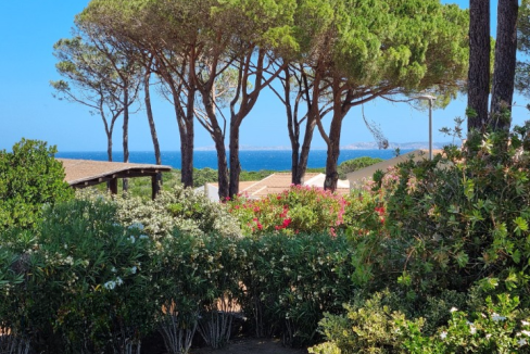 imm_44085-20250723154949-720-