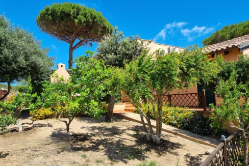 imm_44101-20250723160744-720-