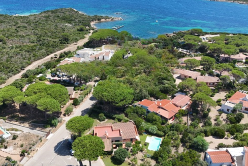 imm_44117-20250723093910-720-