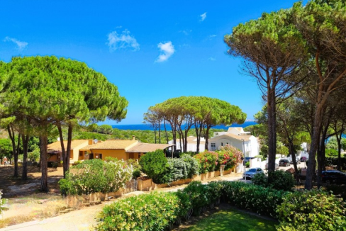 imm_44129-20250723100147-720-