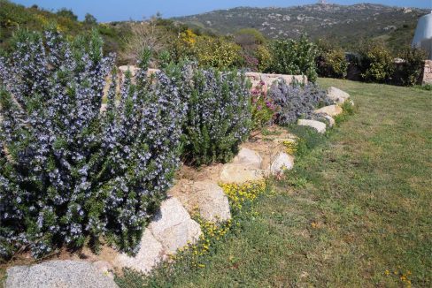 imm_44165-20250723185509-1280-