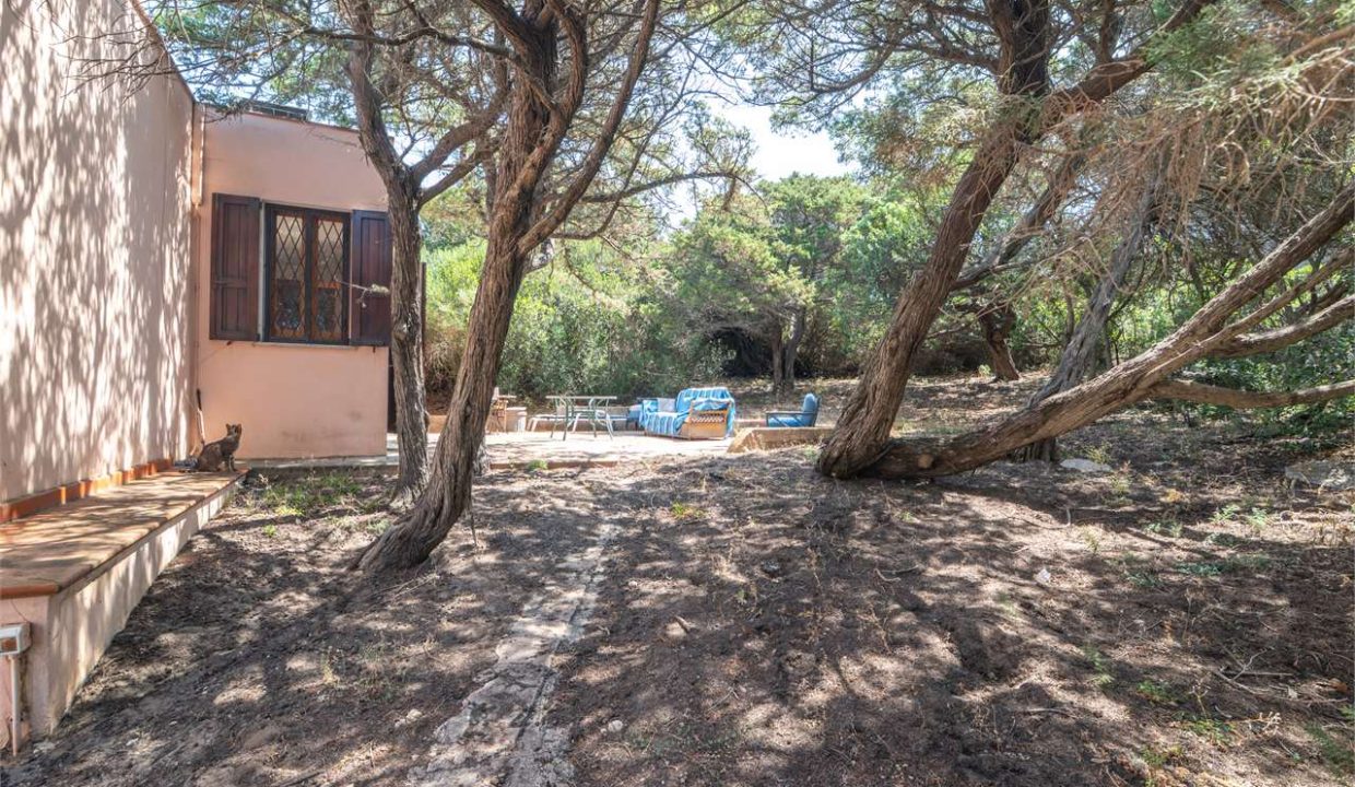 imm_44494-20250801170713-1280-