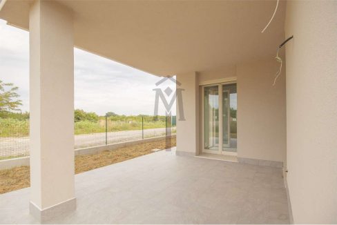 imm_44559-20250806182933-1280-