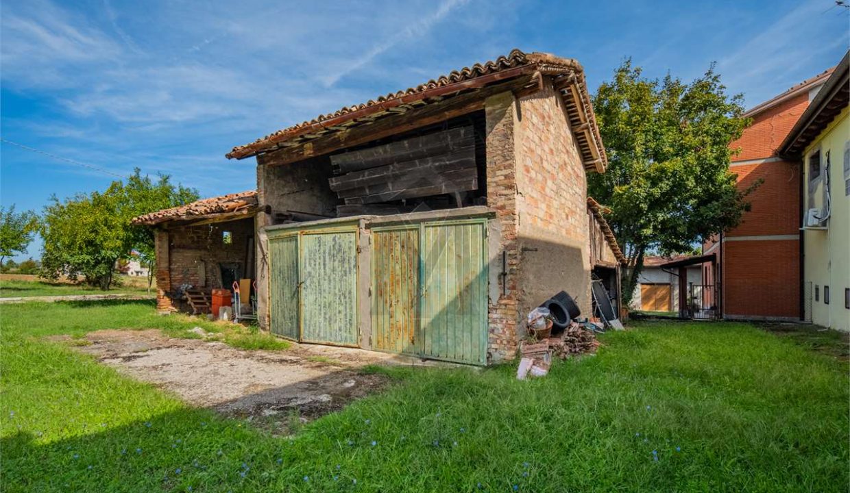 imm_44735-20260123174803-1280-