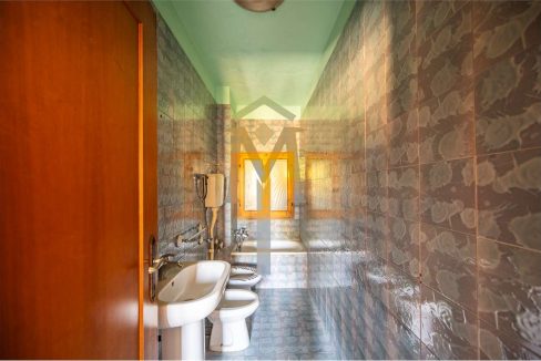 imm_46256-20251104093521-1280-